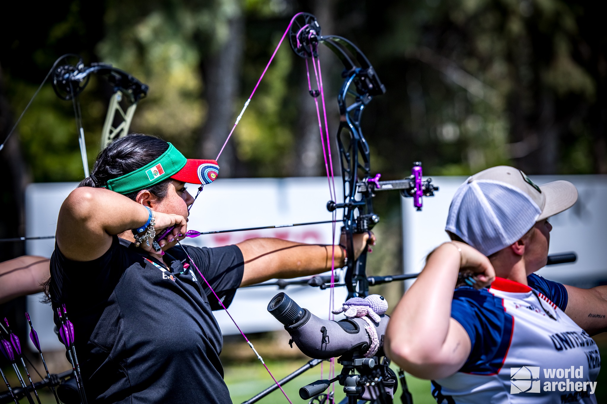 Comité Olímpico Mexicano