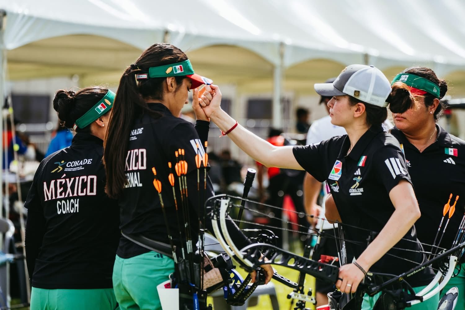 Comité Olímpico Mexicano