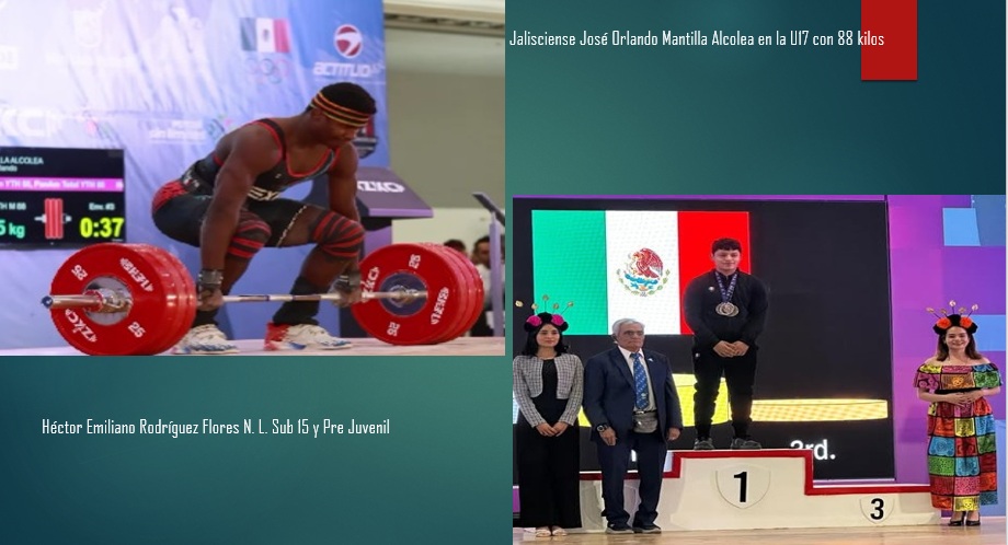 Comité Olímpico Mexicano