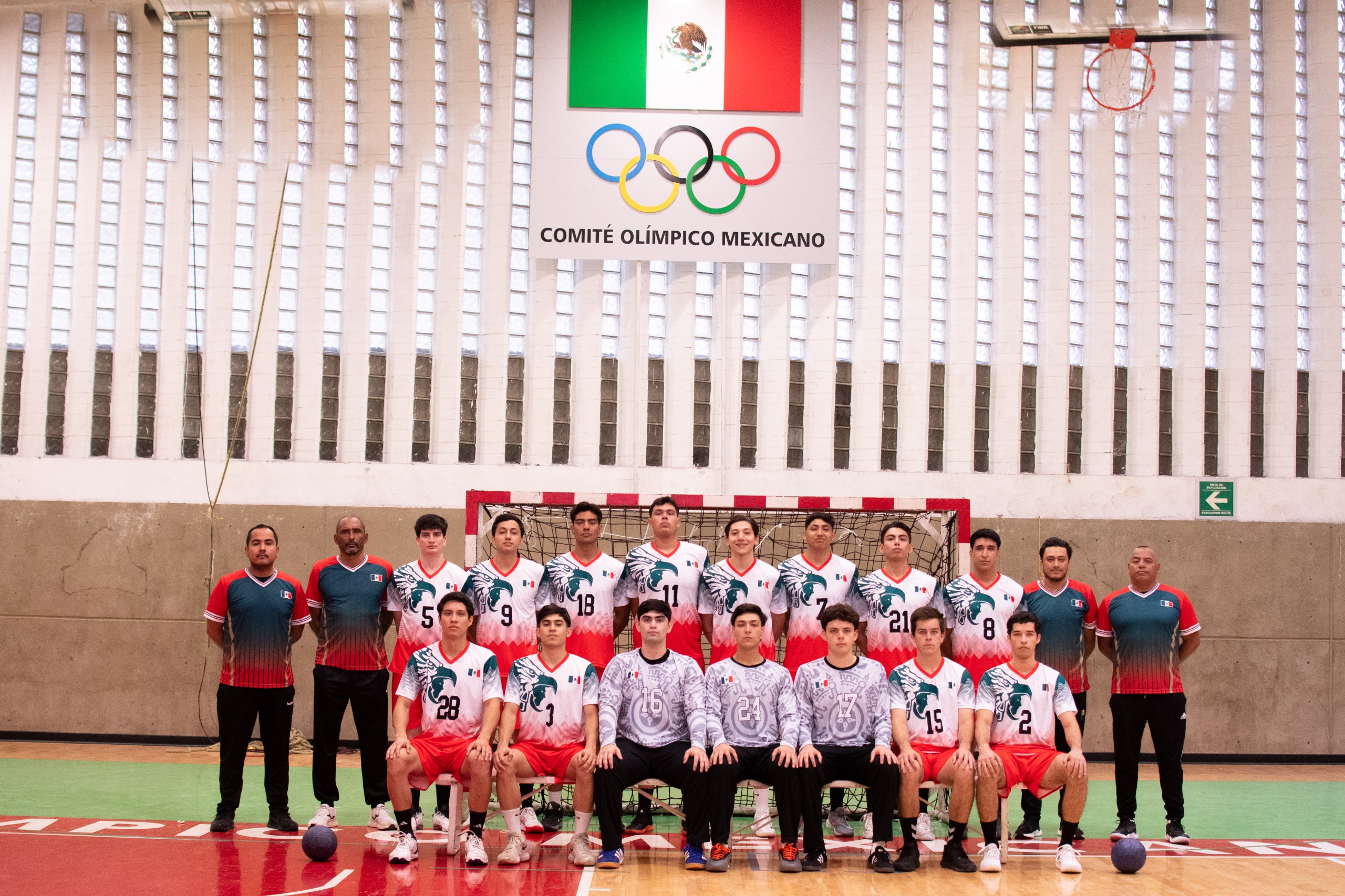 Comité Olímpico Mexicano