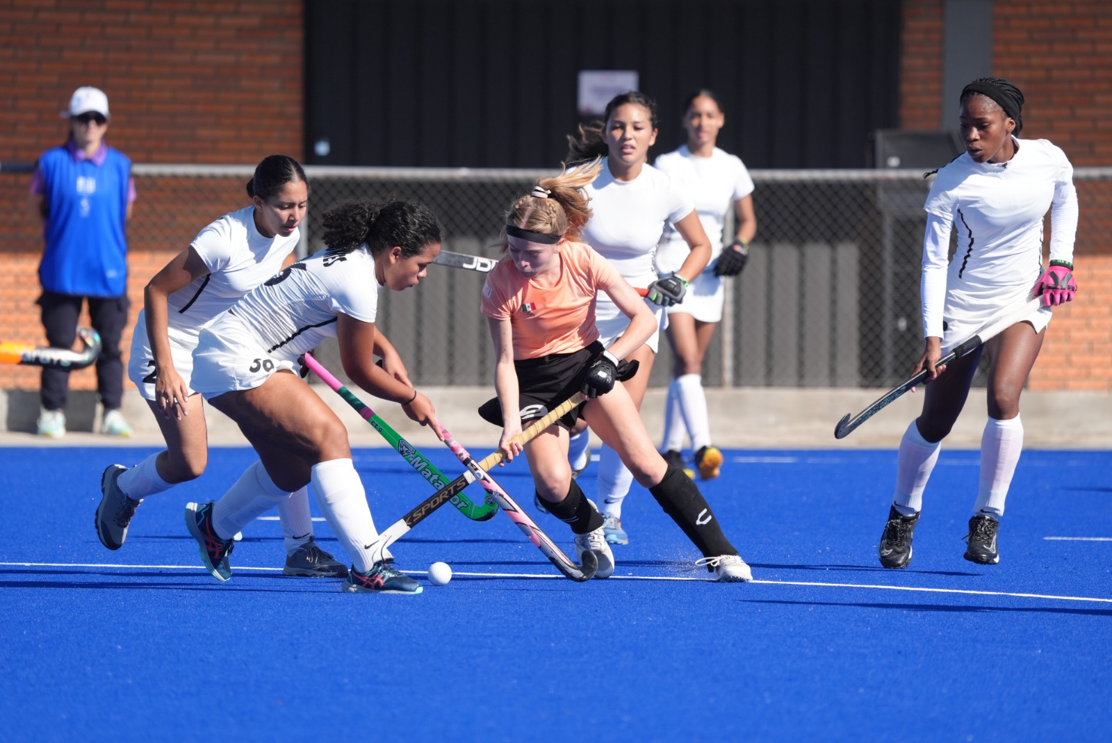 Comité Olímpico Mexicano